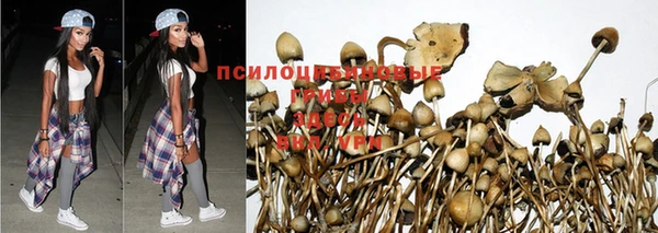 ALPHA-PVP Заволжье