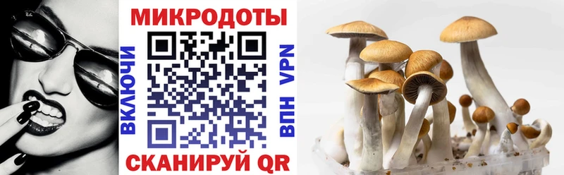 Псилоцибиновые грибы прущие грибы  Купить где  Вельск 